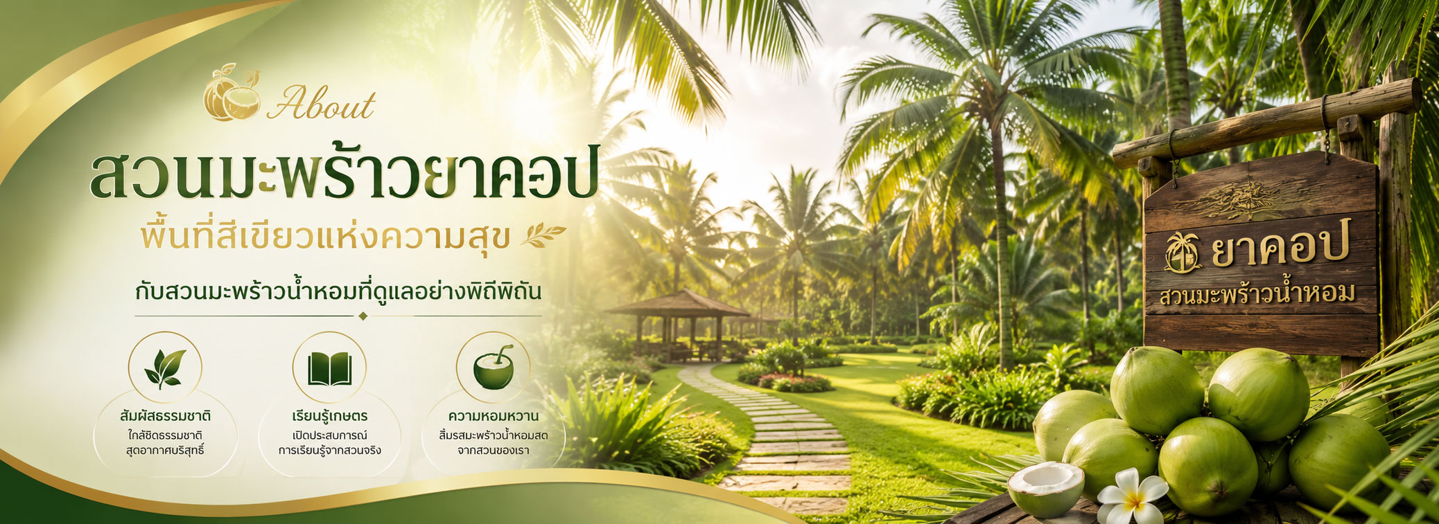 เกี่ยวกับสวนมะพร้าวยาคอป