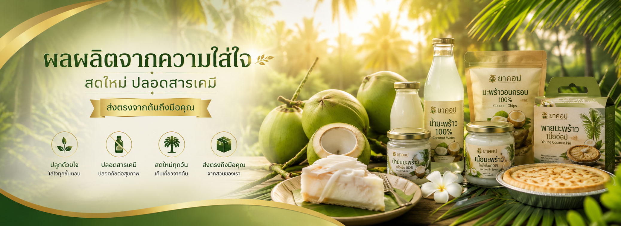 ผลผลิตสวนมะพร้าวยาคอป